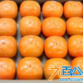 【秦鲜果园】陕西水果特产零售推广体验店 ...