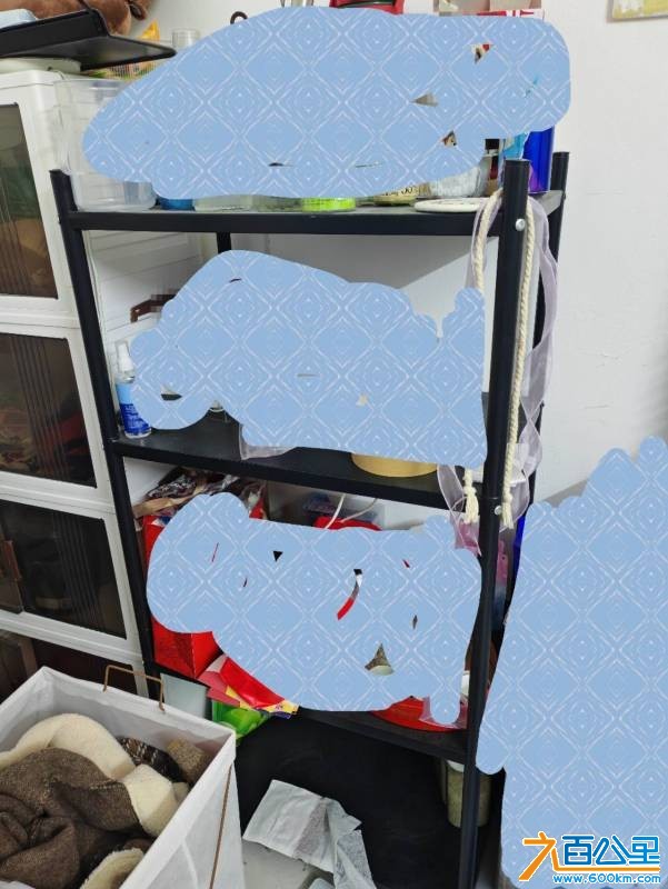 wechat_upload17701264476981fc6f53116