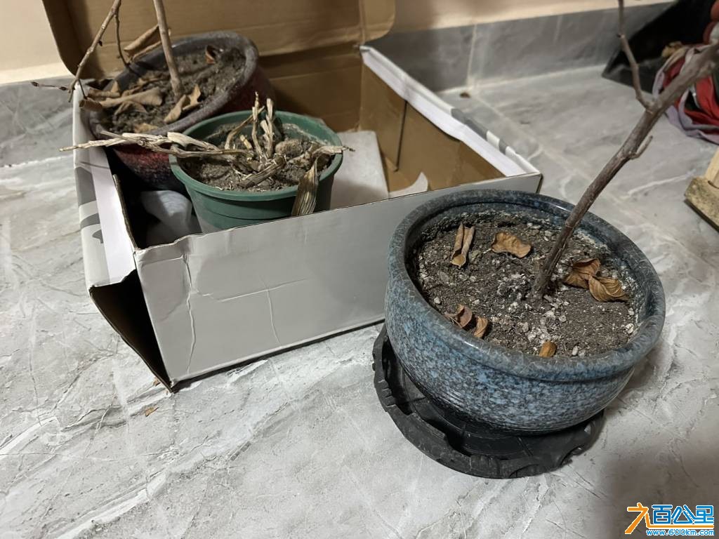 wechat_upload17705541226988830a25614