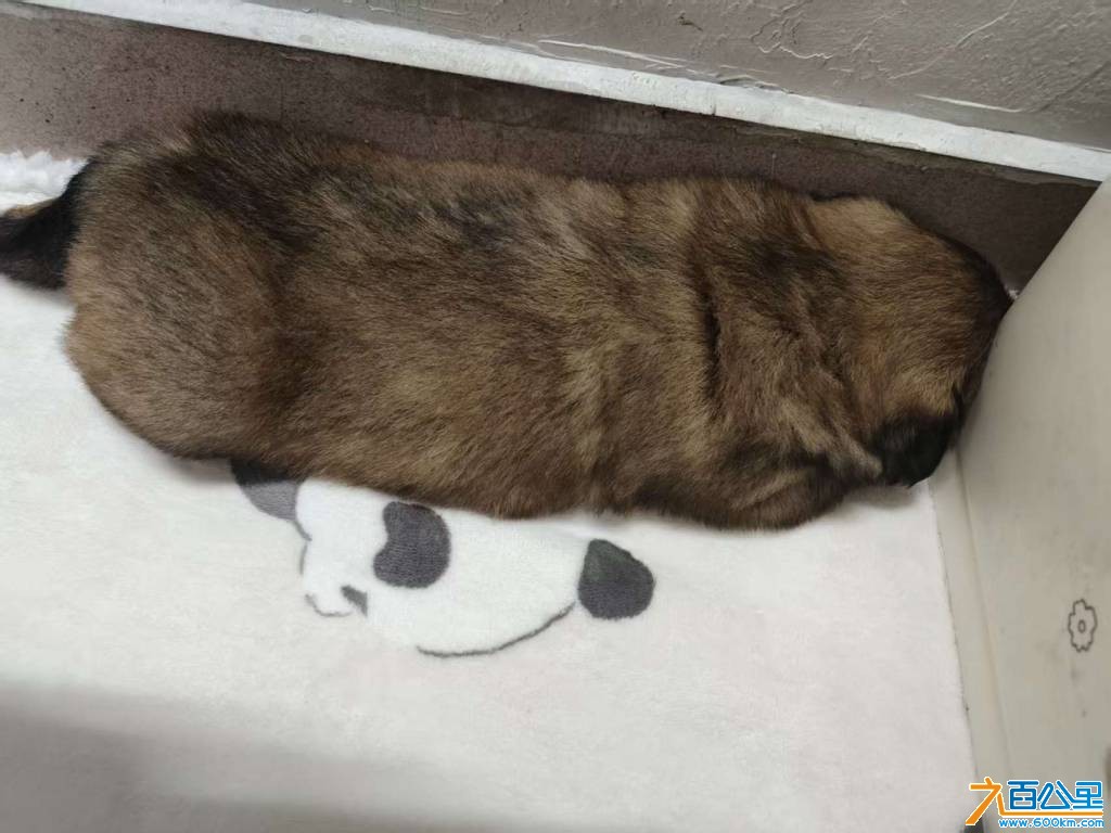 wechat_upload1771989773699e6b0d746a3