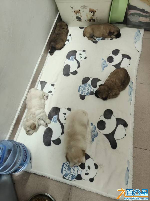 wechat_upload1771989774699e6b0e653c5