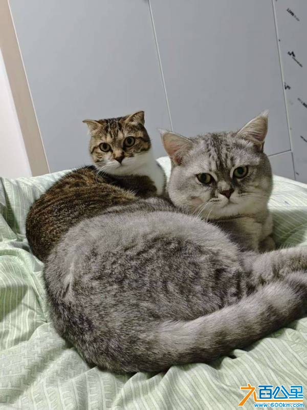 wechat_upload177226066969a28d3dda7b7