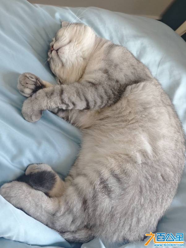 wechat_upload177226067269a28d409a581