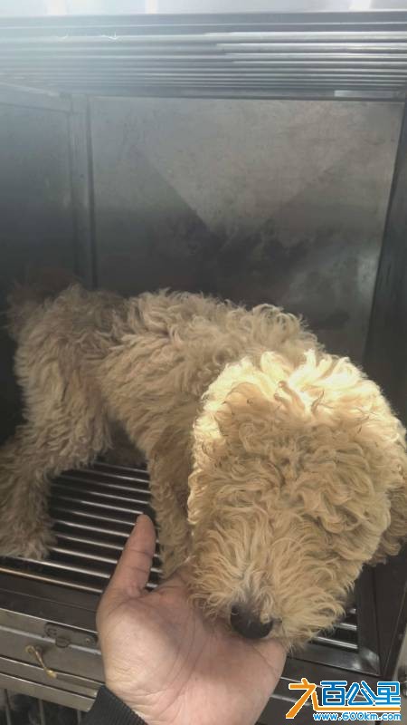 wechat_upload177347479269b513e878525