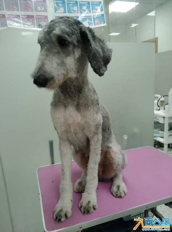 wechat_upload177347481169b513fb9d813