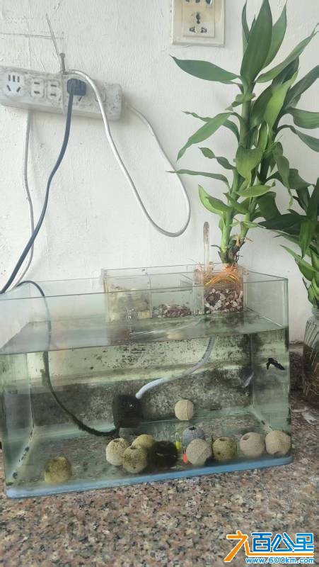 wechat_upload177479132669c92a9eb99fe